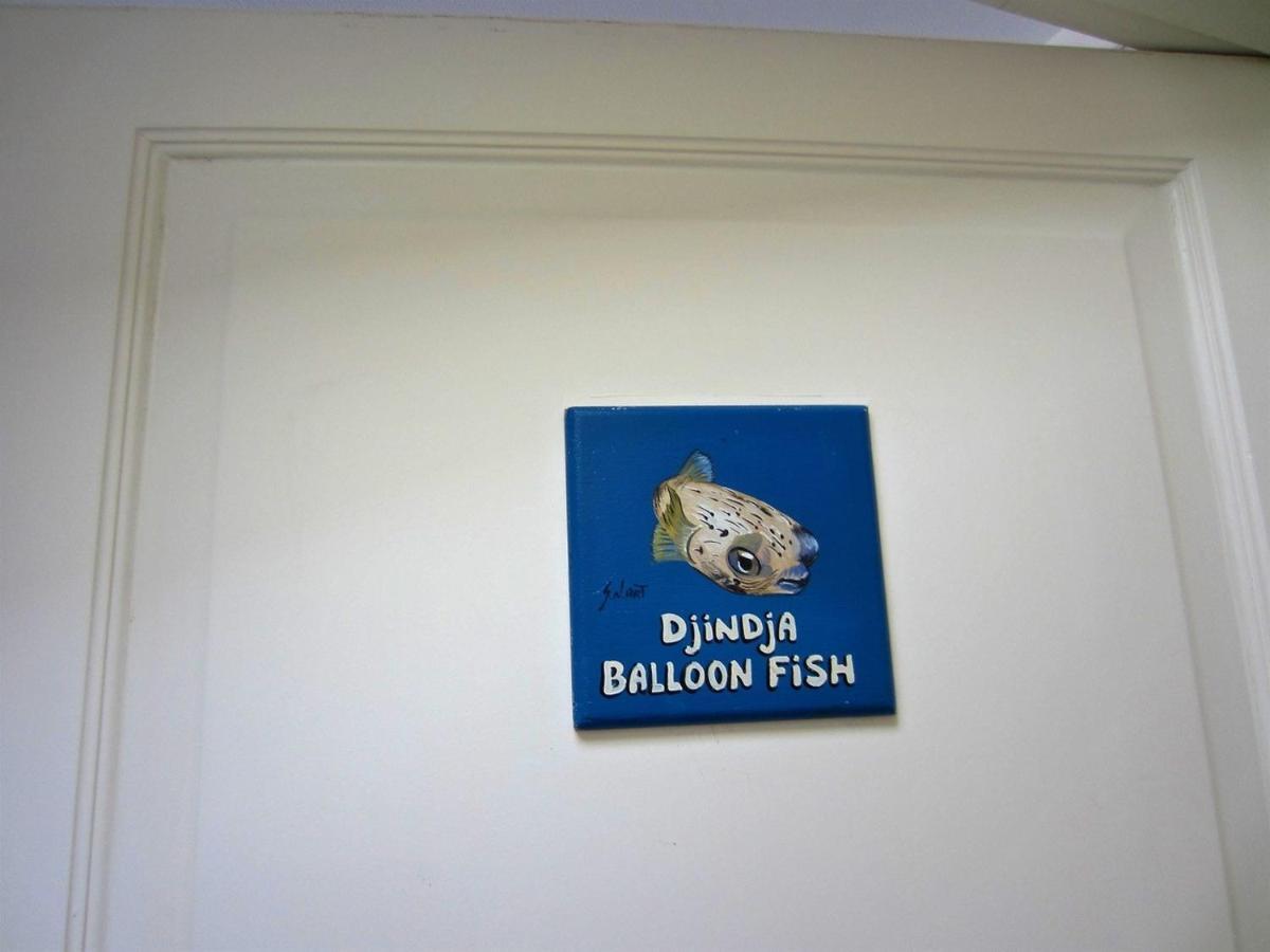 Den Laman - Balloonfish Kralendijk  Bagian luar foto
